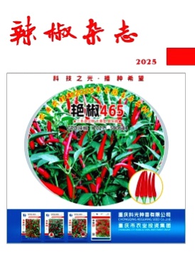 辣椒杂志杂志